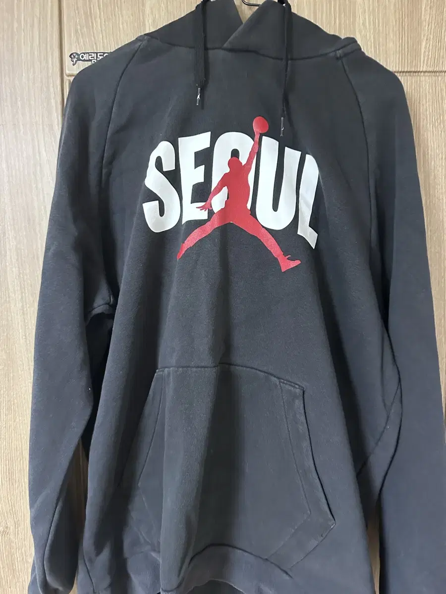 Nike Jordan Seoul Brushed Hoodie