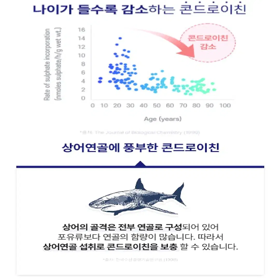 네추럴라이즈 상어연골 콘드로이친 1200 보스웰리아 함유 60정