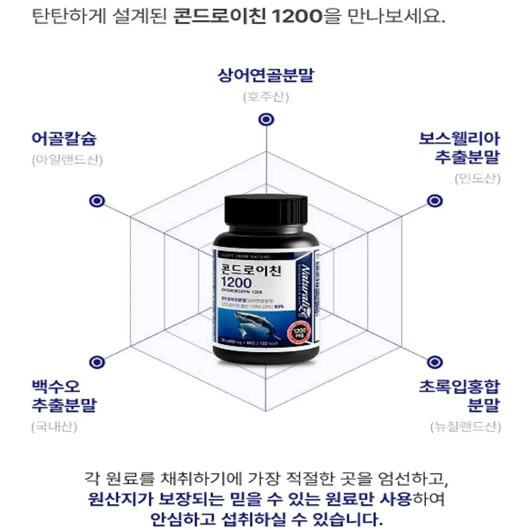 네추럴라이즈 상어연골 콘드로이친 1200 보스웰리아 함유 60정