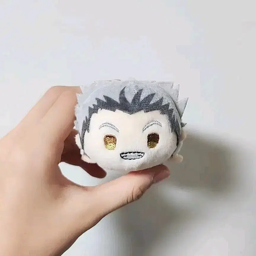 Haikyuu Bokuto Kotaro Tsumutsumu Doll