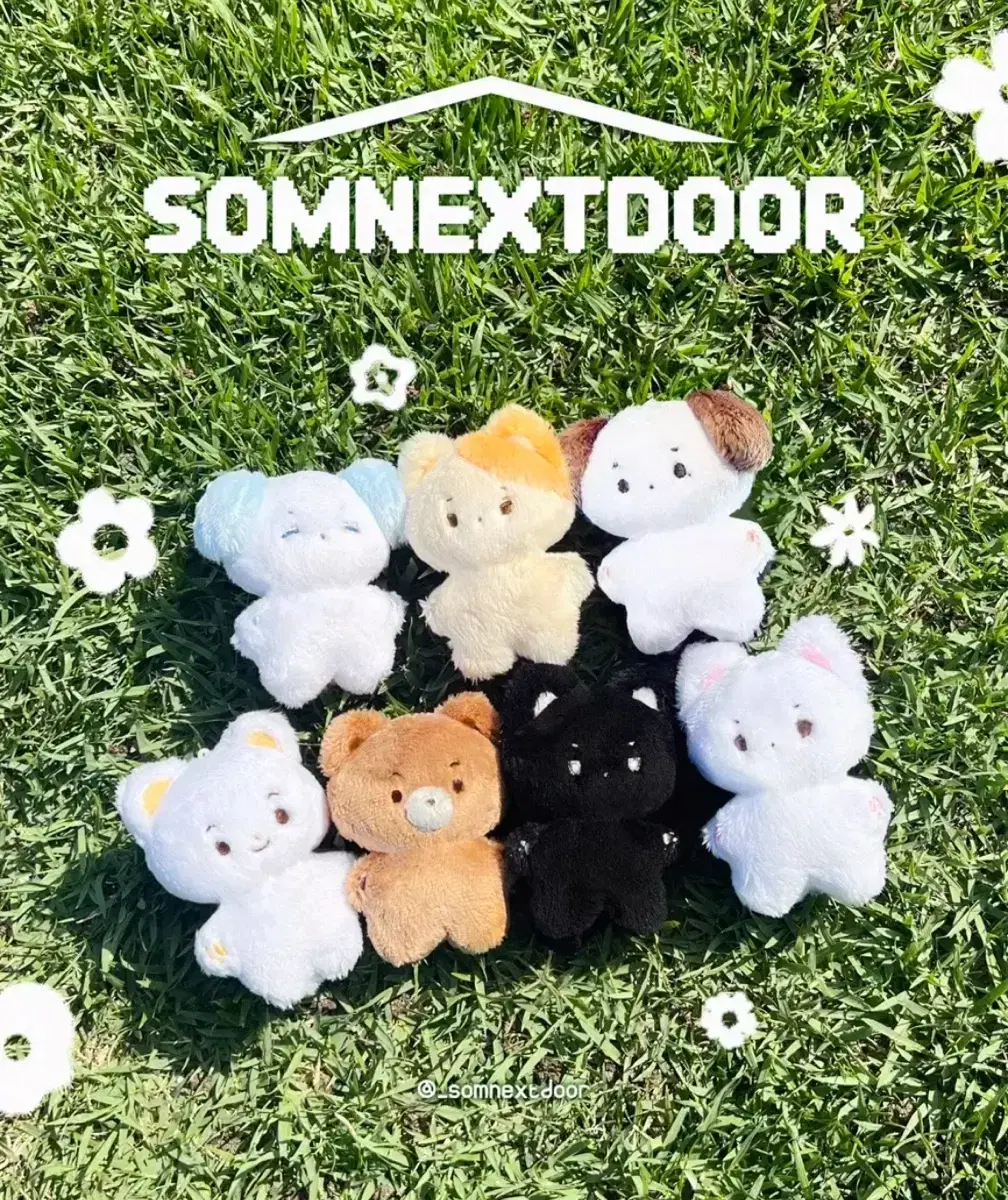 Somnekdo woonhak doll sell (Panwan)