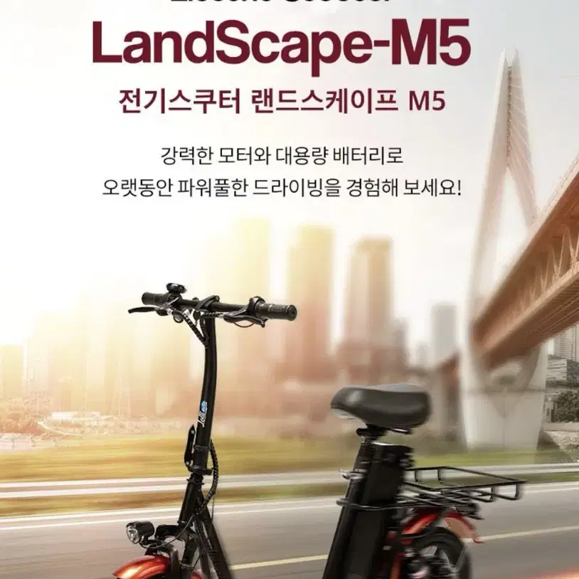 새상품 롤리고고 랜드스케이프 전기스쿠터 M5 48v 12.5, 30Ah