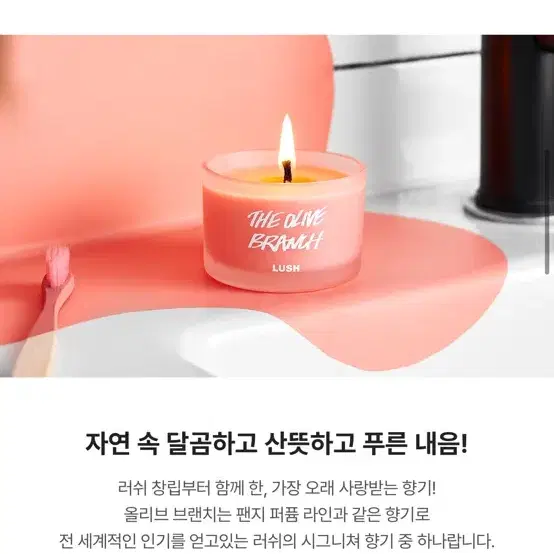 (새상품) 러쉬 더 올리브 브랜치 캔들 향초 75g 디퓨저 퍼퓸