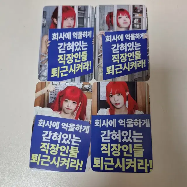 QWER 디마뮤 영통팬싸 미공포 포카 내이름맑음 알고리즘블러썸