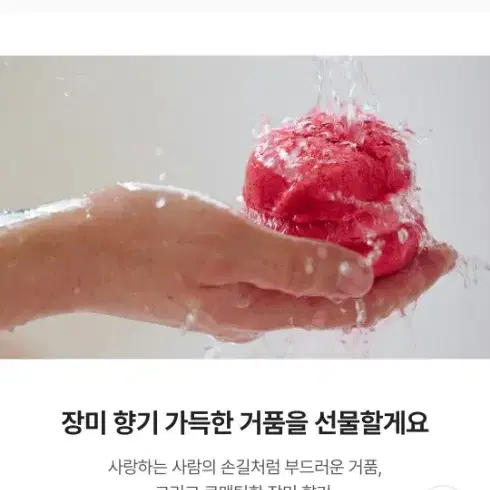 LUSH 러쉬 입욕제 4종