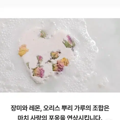 LUSH 러쉬 입욕제 4종