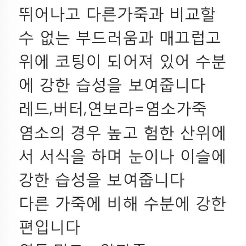 체리룬 풀문 카드지갑