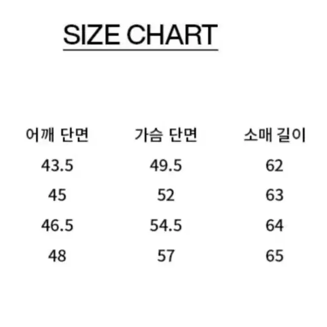 비바스튜디오 라이더자켓