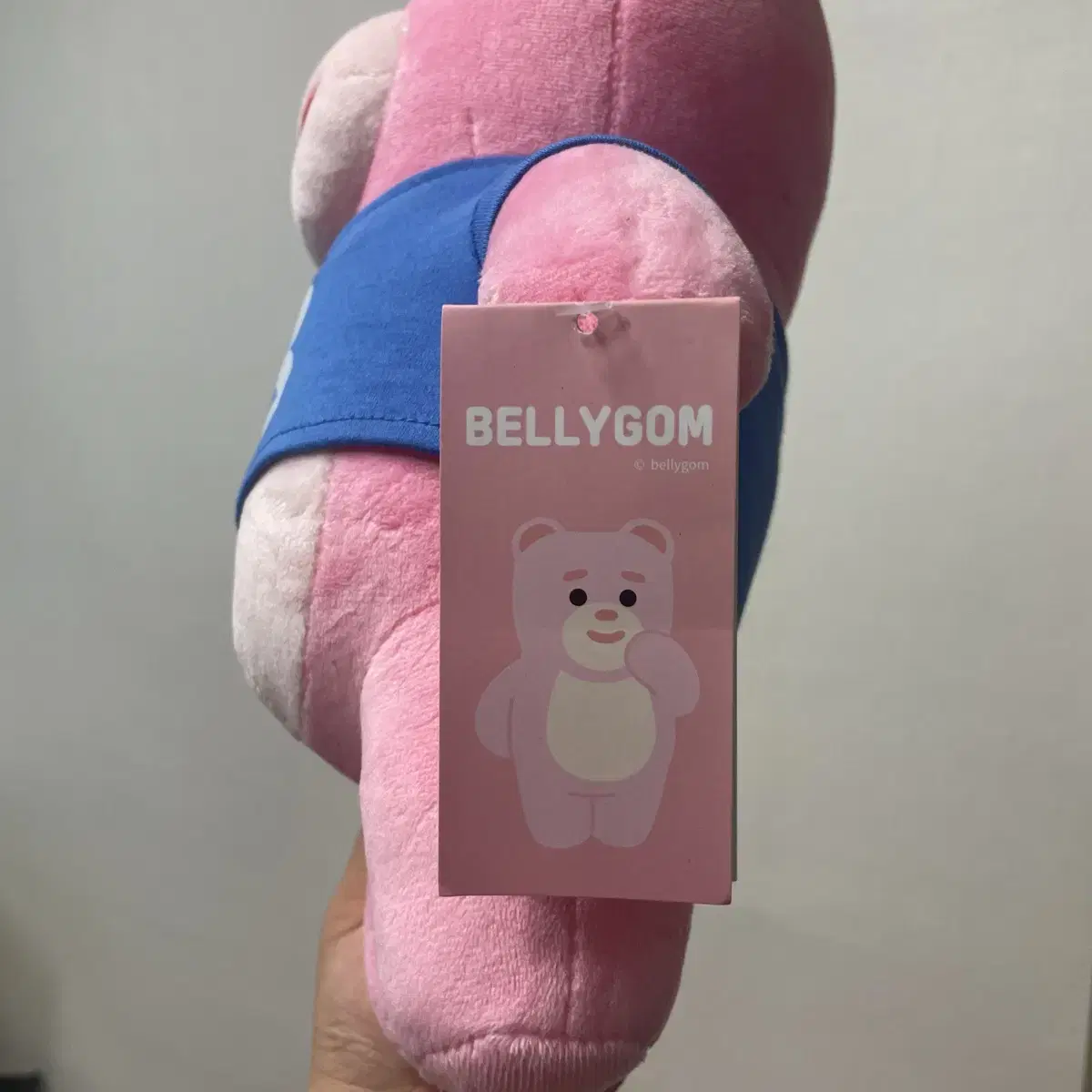 벨리곰 생일 인형 30cm 곰돌이