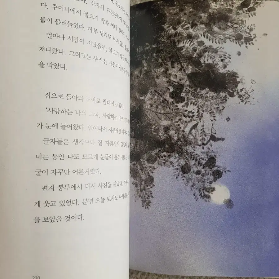 소설 <봉주르, 뚜르>문학동네 어린이문학상 대상수상작