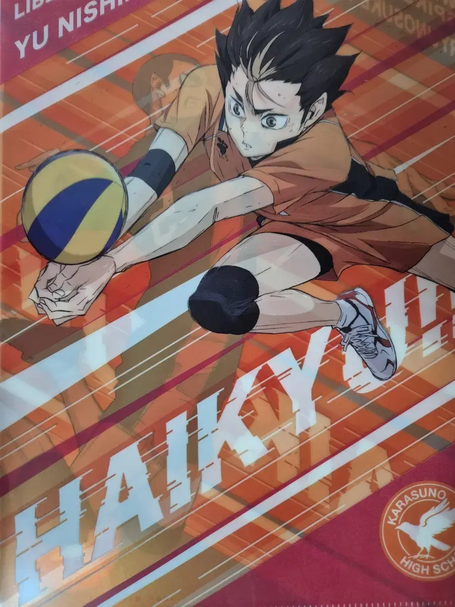 Haikyuu Tanaka Nishinoya File