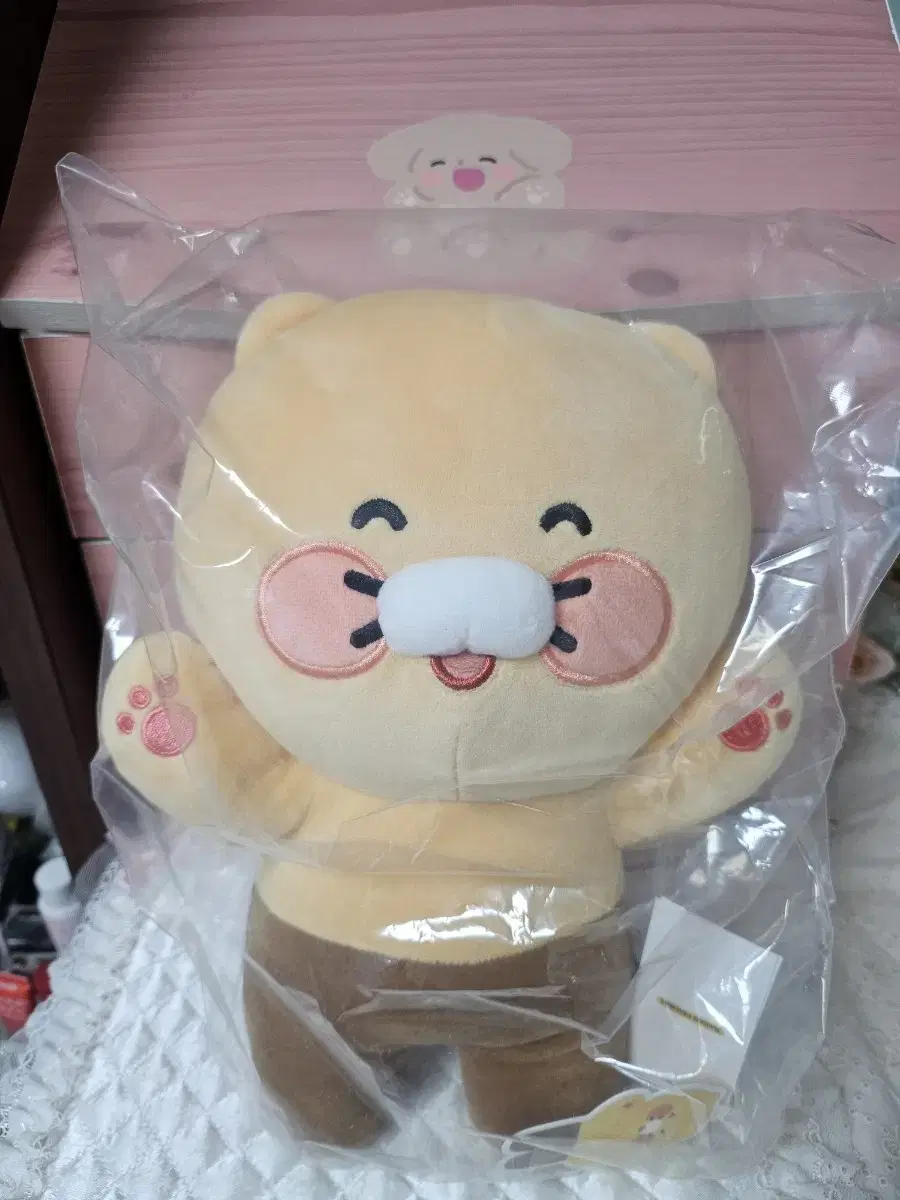 Kakao Friends Happy Smile Pillow Chunsikigae