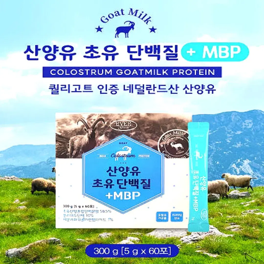 [2개월]에버그린 산양유 초유 단백질 +MBP 5gx60포