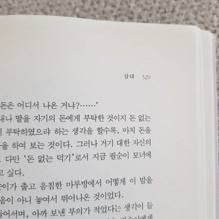 도서 소설 <삼대>염상섭 지음/소담출판사