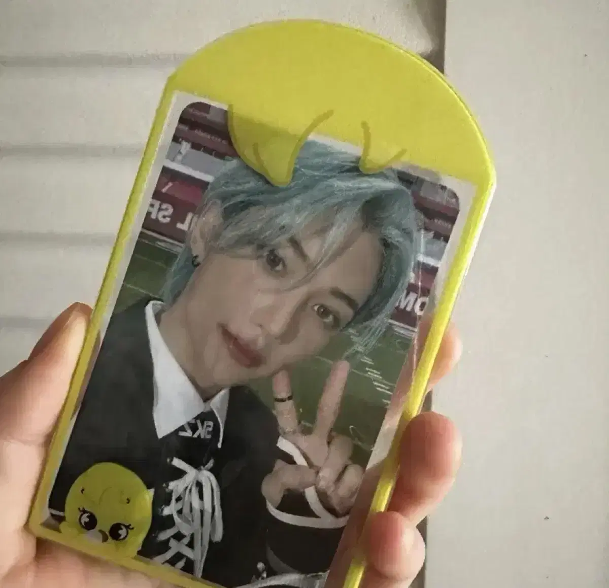 Felix Photocard Holder/Photocard