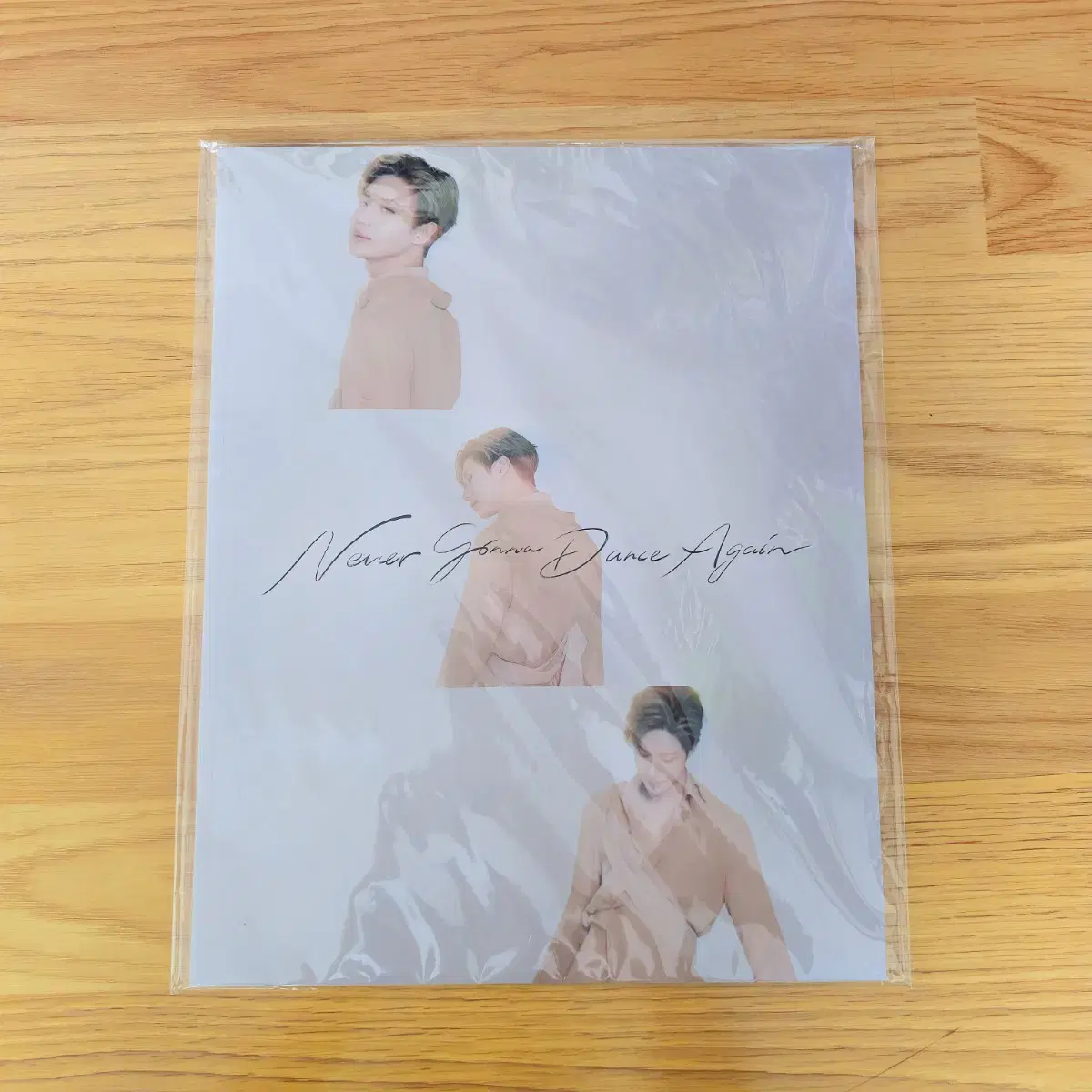 Taemin NGDA Björnla Brochure