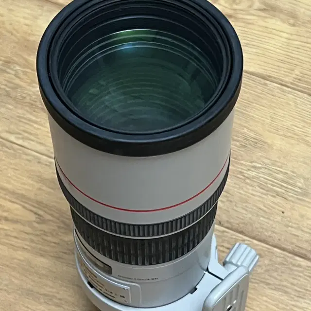 캐논 망원 단렌즈 EF300mm F4L IS