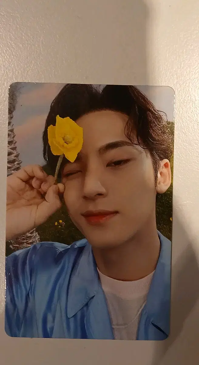 Feeder/Seventeen mingyu Sector17 kit photocard WTS