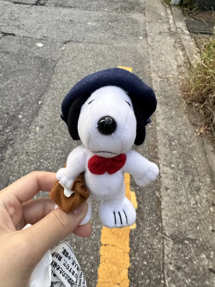 McNally Snoopy Doll