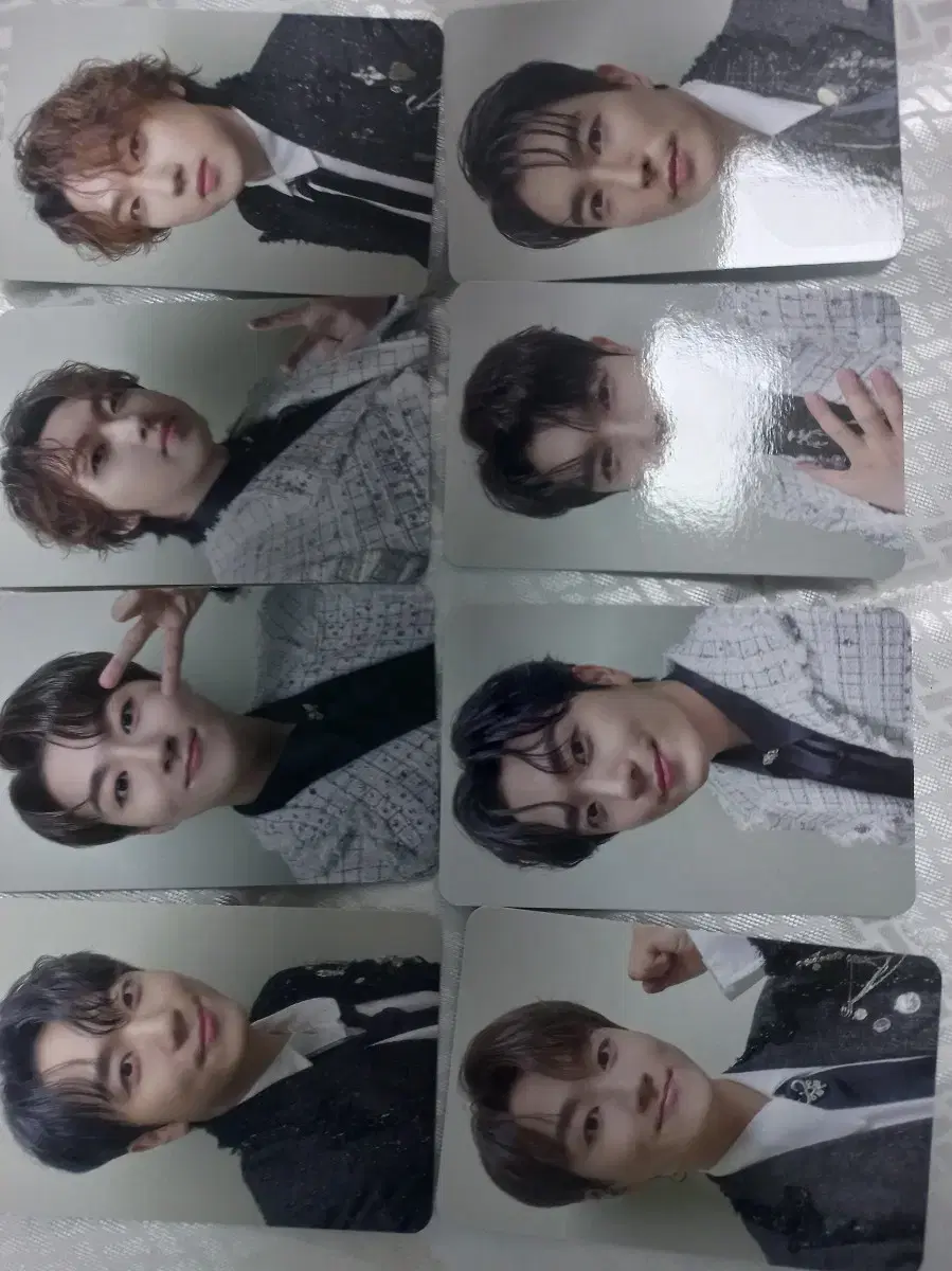 Forestella photocard sell WTS