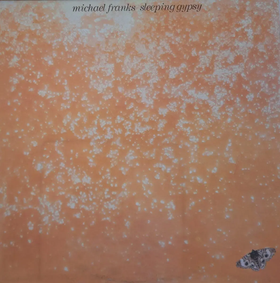 국내라이센스반/Michael Franks - sleeping gypsy