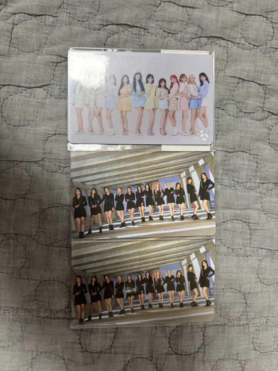 IZ*ONE Organization photocard WTS