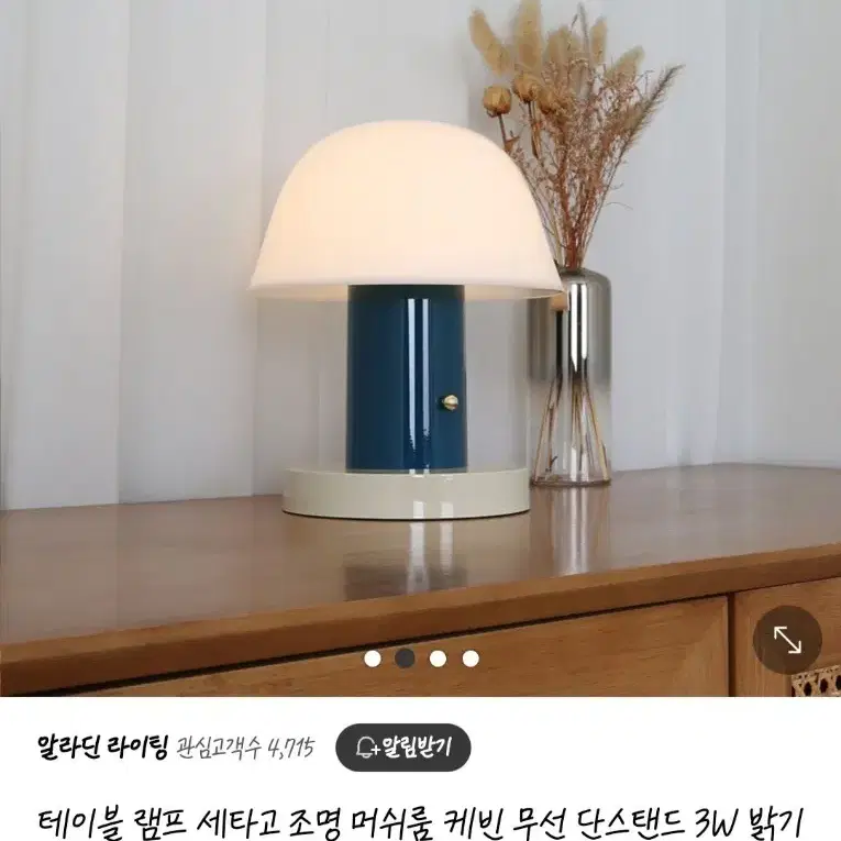 알라딘라이팅 머쉬룸 케빈 조명