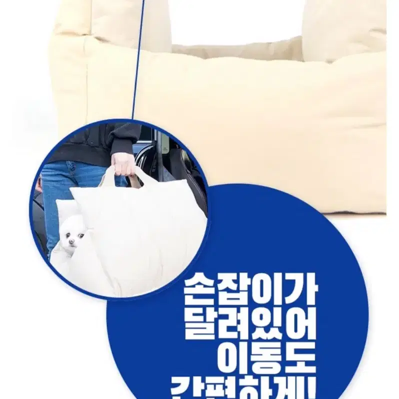 강아지 애견 카시트