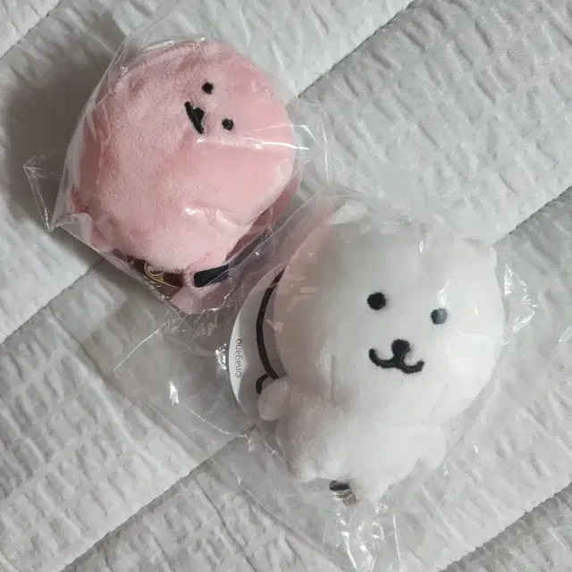 농담곰 교니소