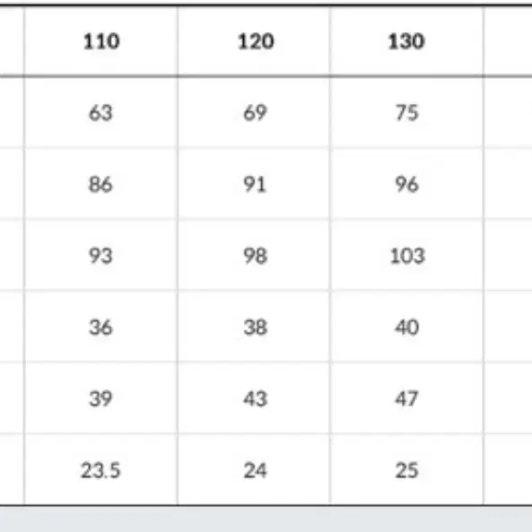 노스페이스키즈150