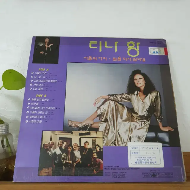 티나황 LP  1985   귀한음반