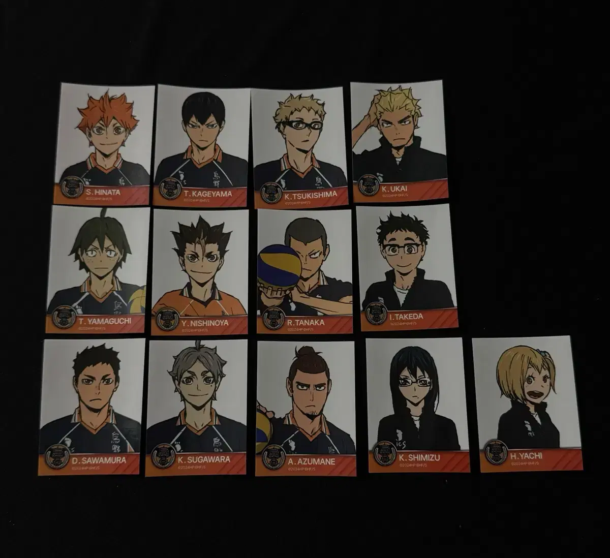 Haikyuu pop up Karasuno Mini Profile sticker hinata Kageyama Tsukishima