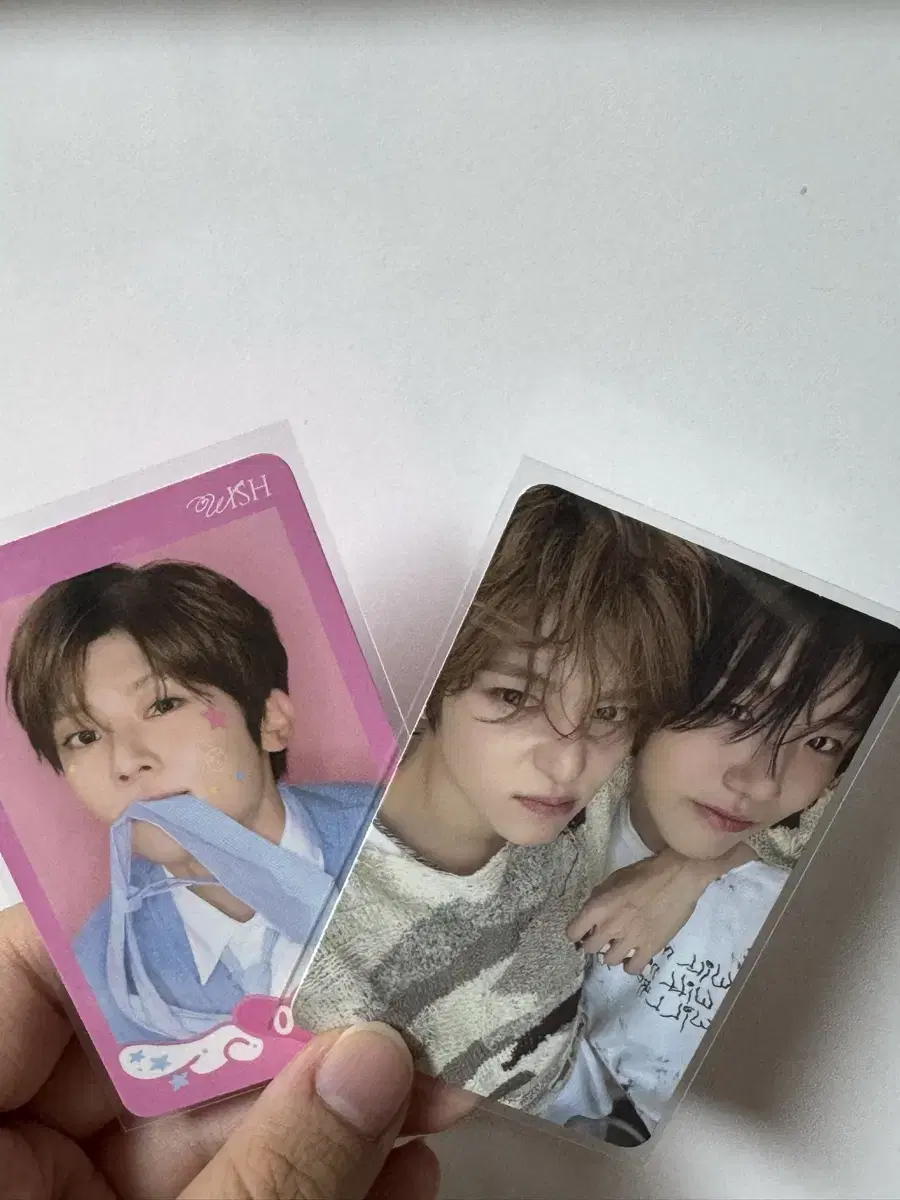 Wish Steady pop up Jaehee sion photocard sion Conpo bulk wts Uushi riku ㅅㅊ