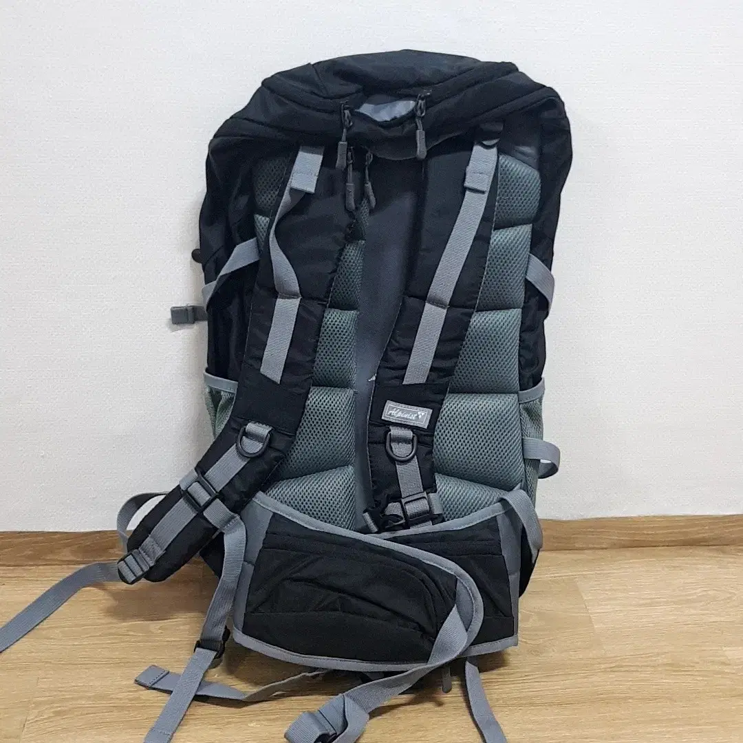 Alpinist 미사용품 120,000원짜리 등산가방