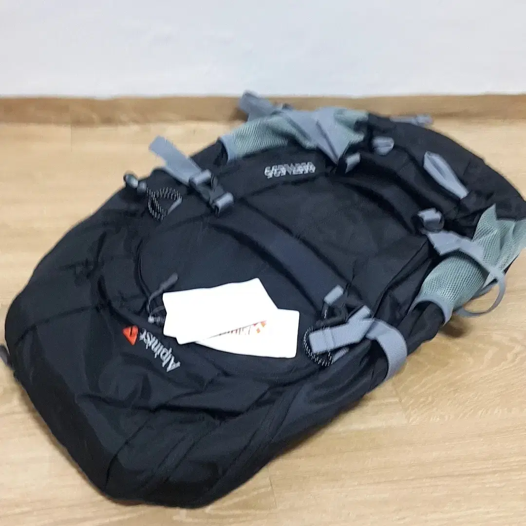 Alpinist 미사용품 120,000원짜리 등산가방