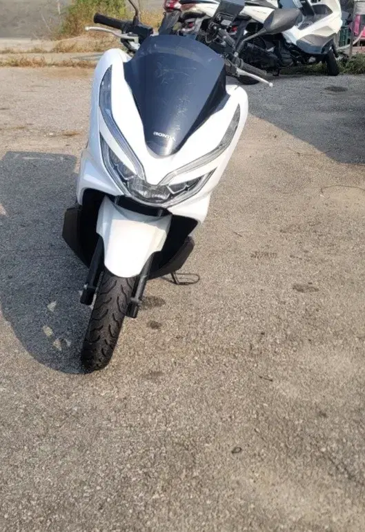 pcx 2019년식 35000키로