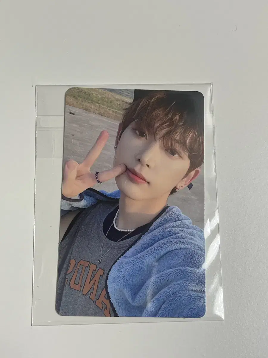 &TEAM harua Aoarashi weverse offline Photocard