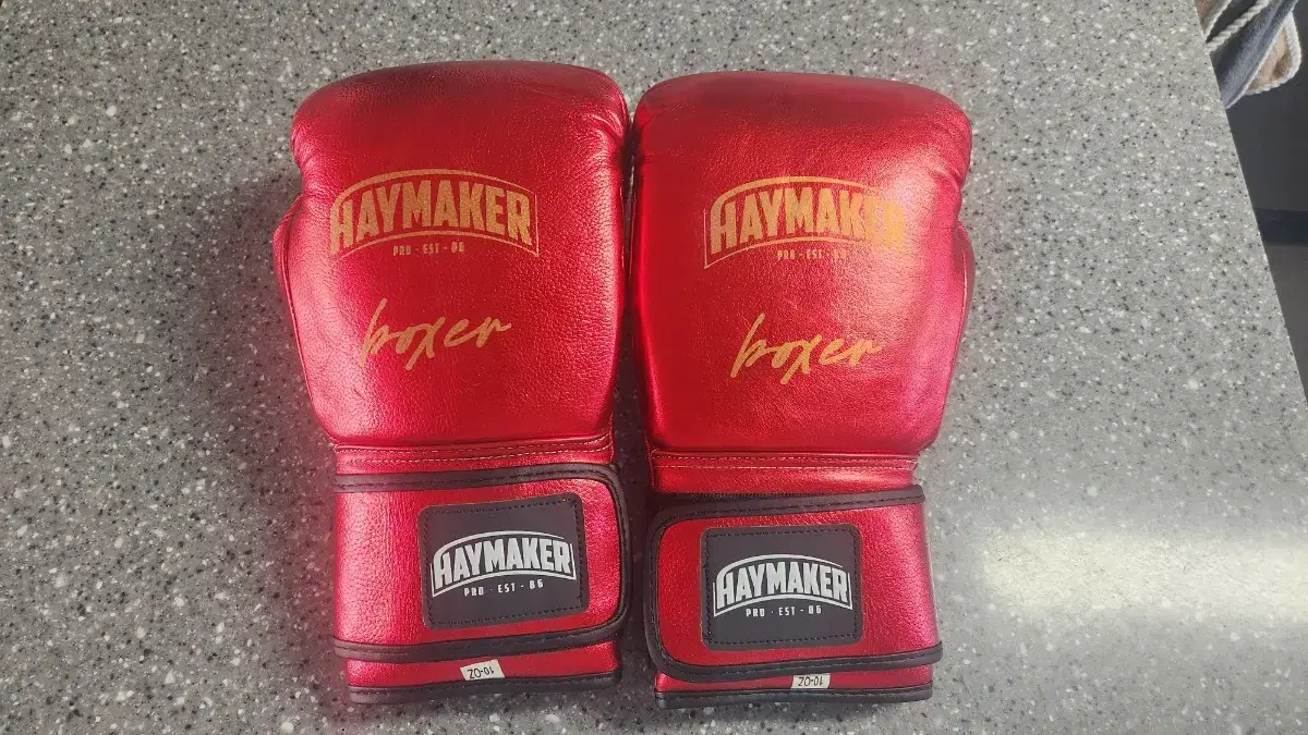 Boxing gloves 10 oz.