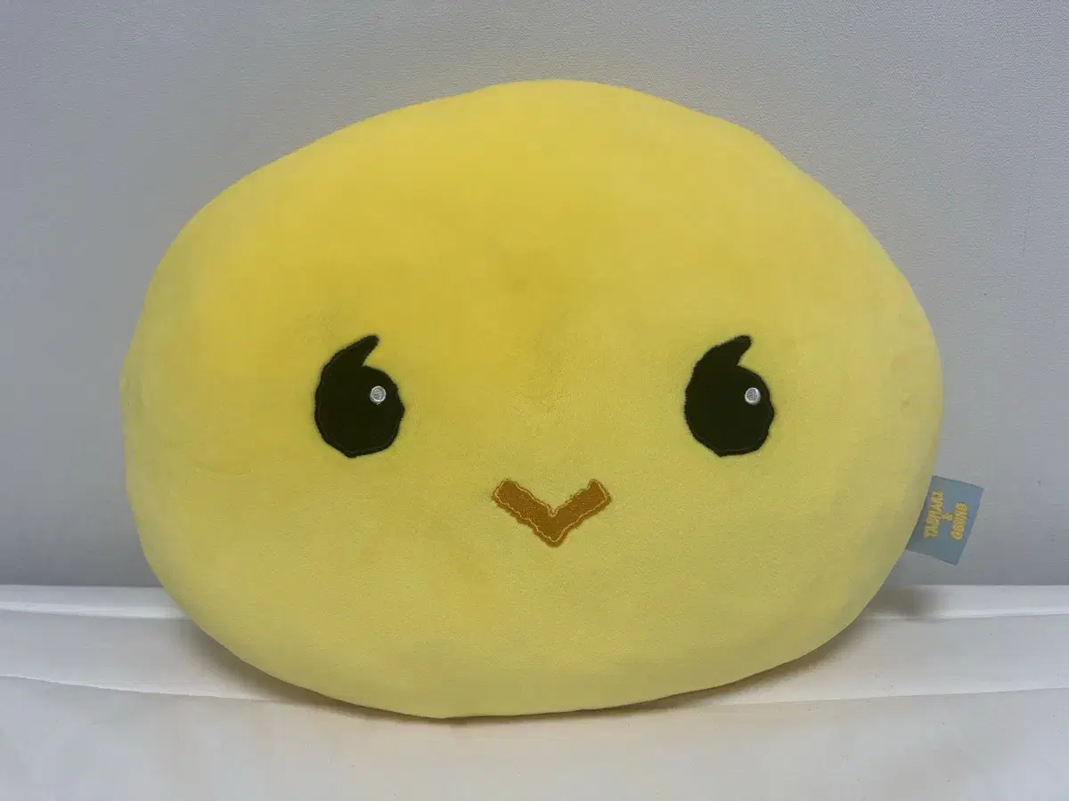 Shinee taemin Tamari Cushion WTS