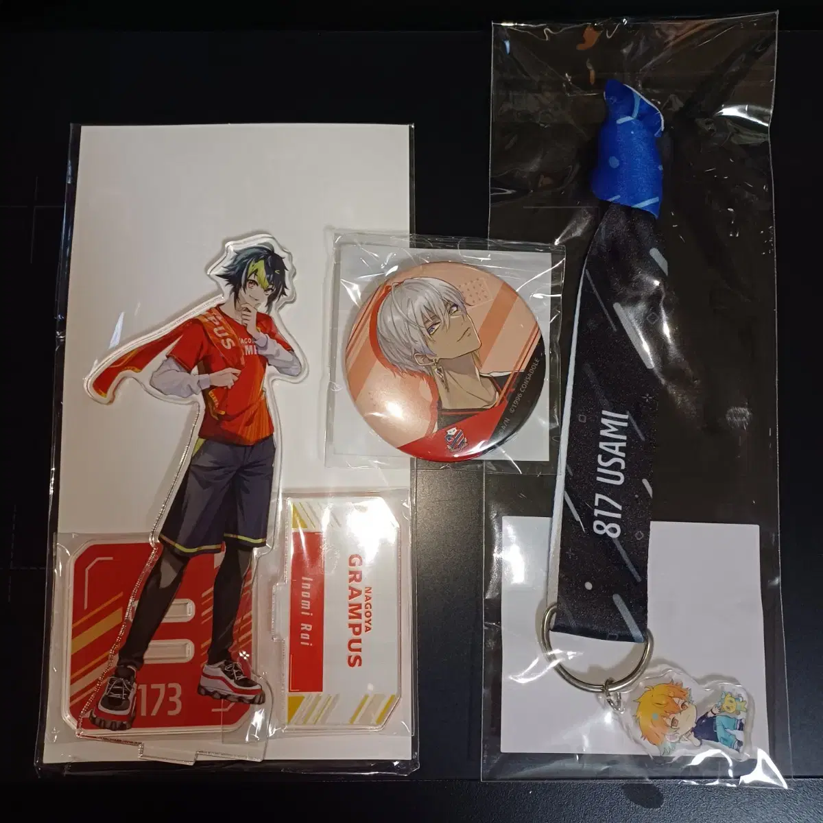 NIJISANJI J1 Kuji First Lottery Ditika Inami Rai acrylic stand Bulk