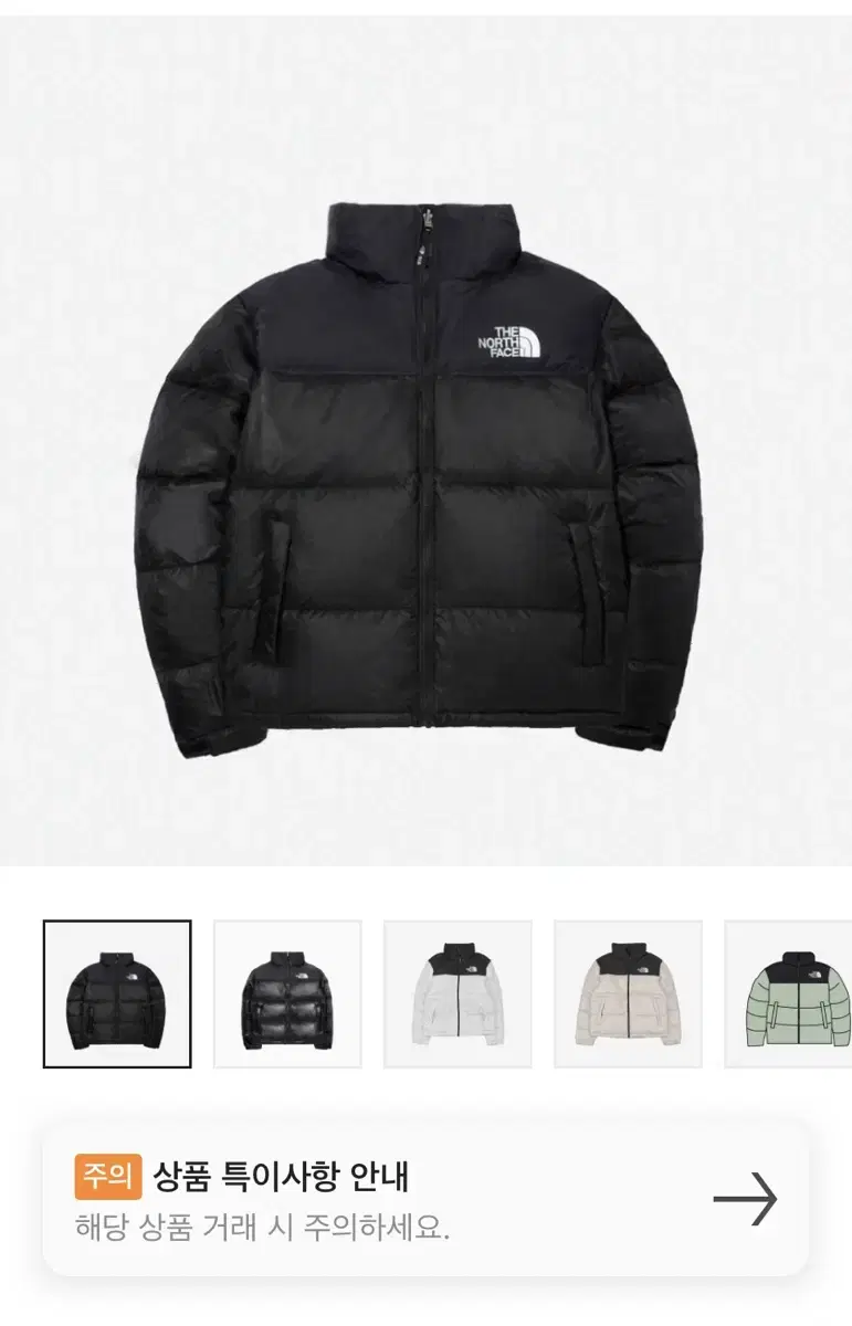 Unworn The North Face Fei L