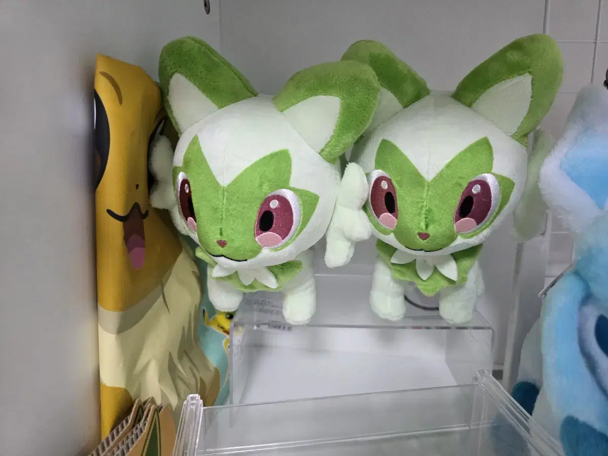 Pokémon Naoha doll Genuine