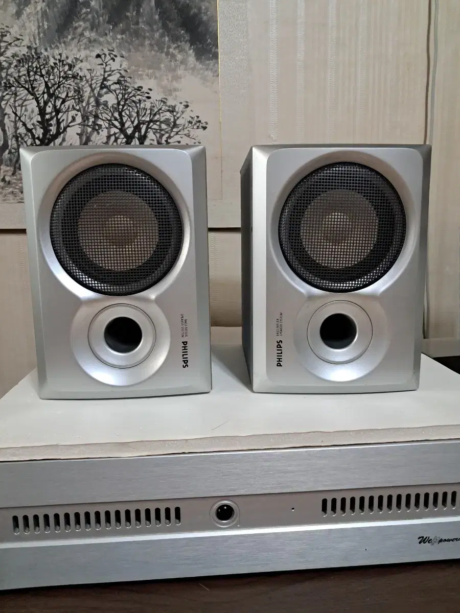 Philips FWB-MC110/01 SPEAKER SET