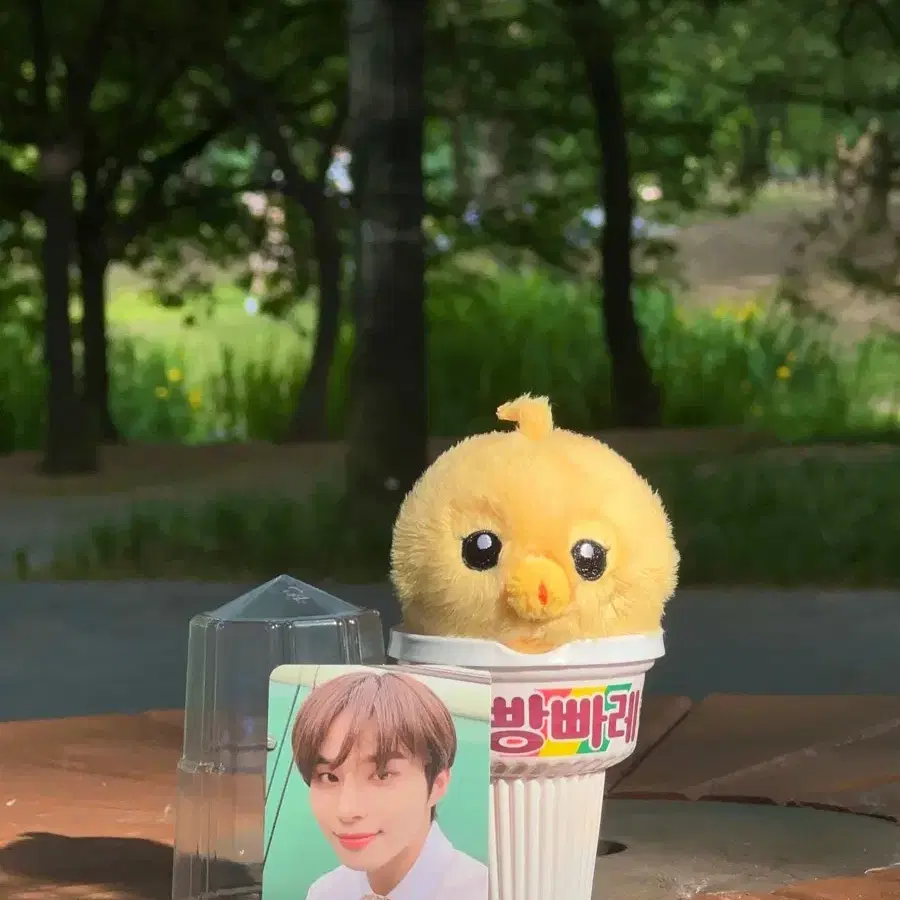 nct 엔시티 정우 10cm 인형 김댕궁 원가양도