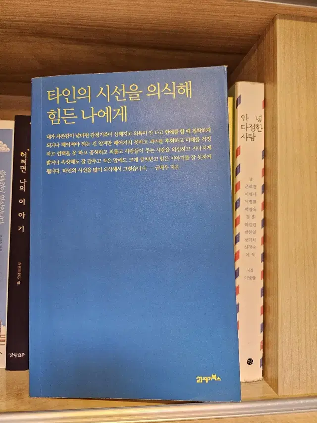 타인의 시선을 의식해 힘든 나에게 (글배우) 도서판매