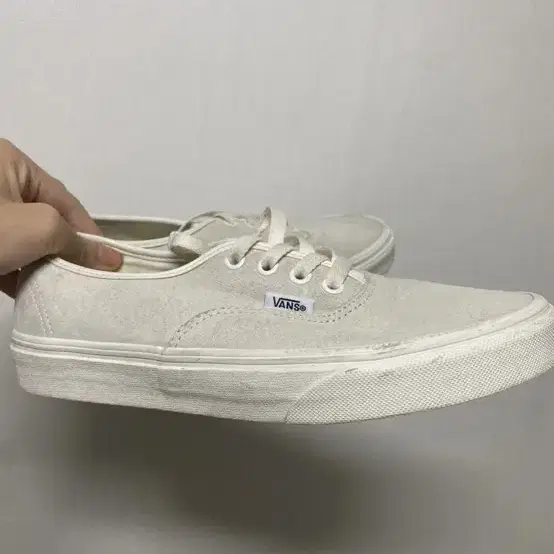 반스 VANS 어센틱 피그 스웨이드X듀퐁 - 크림 아이보리 색상 240