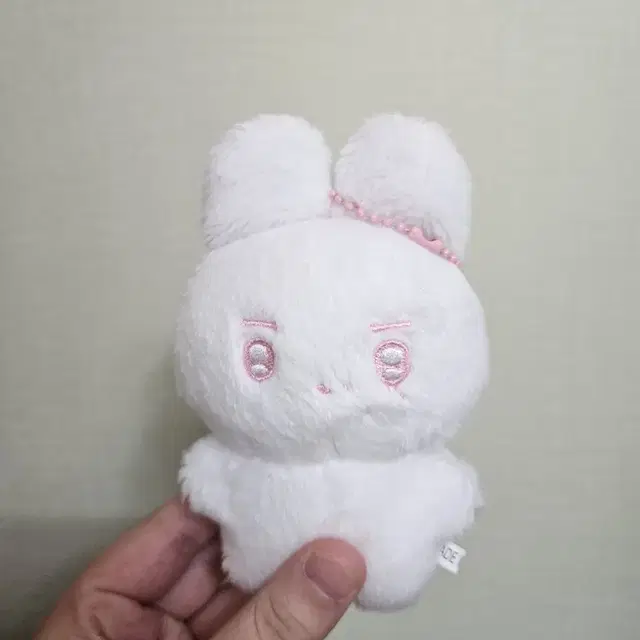 더보이즈 빵바니 인형 양도