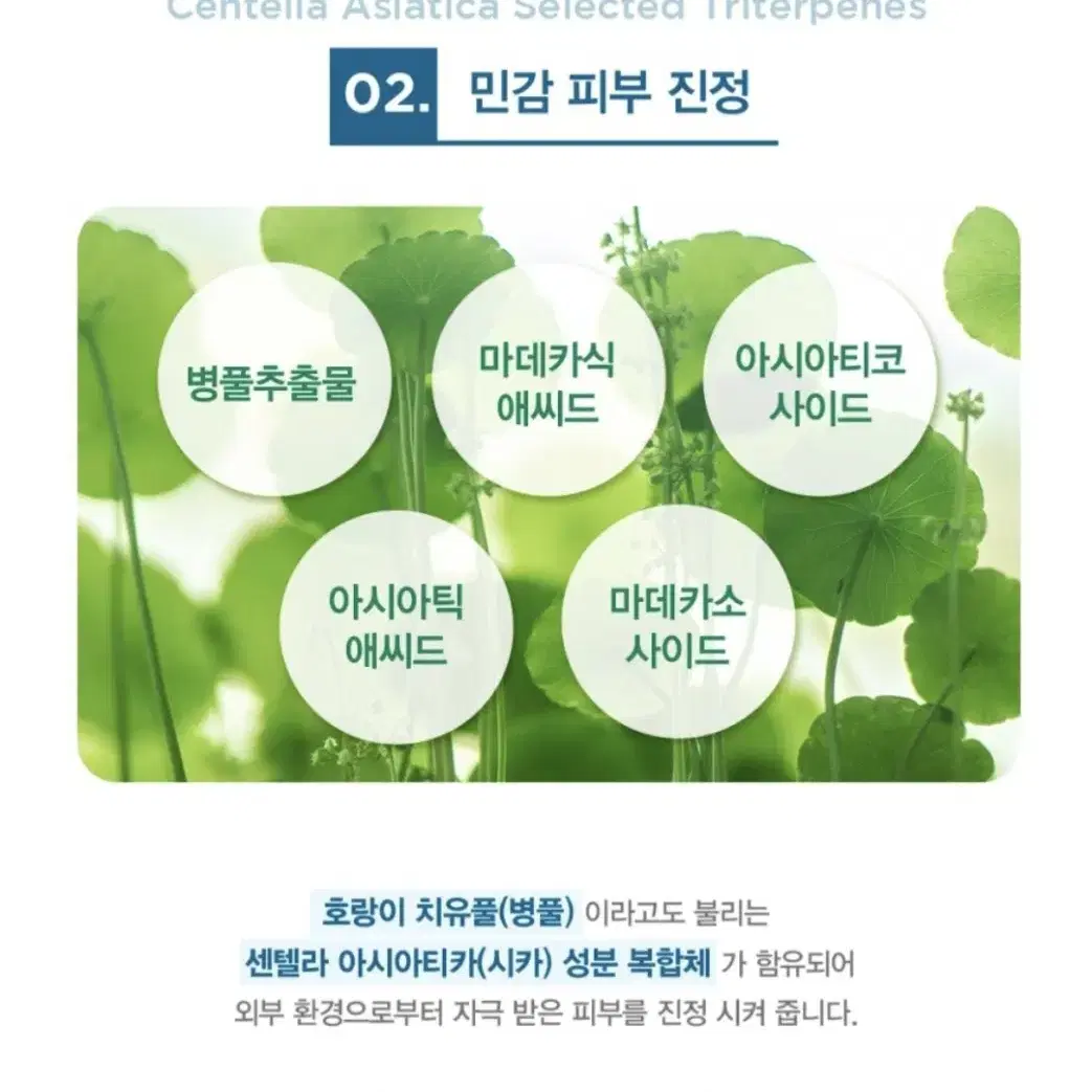 약산성 클렌징 세트 120ml x 10개