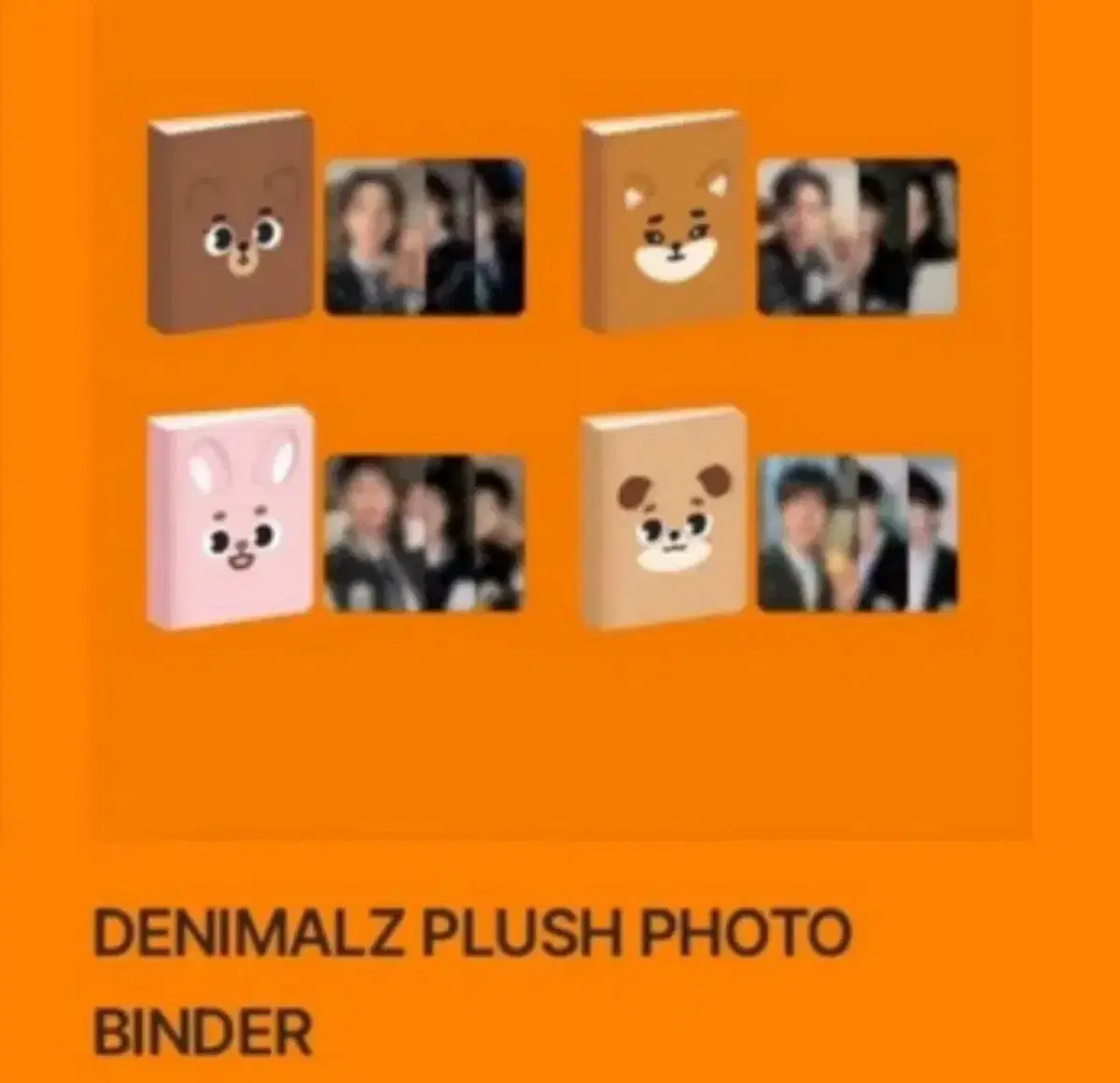 Denimals day 6 binder with photocard