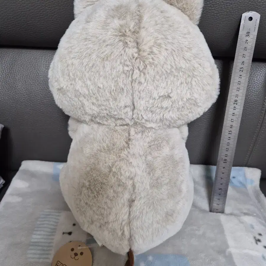 쿼카라떼 쿼카인형 40cm